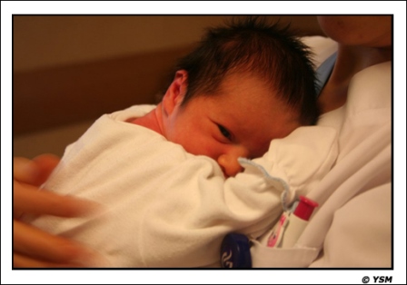 Kısırlık Stresi Tüp Bebekte Başarıyı Nasıl Etkiler